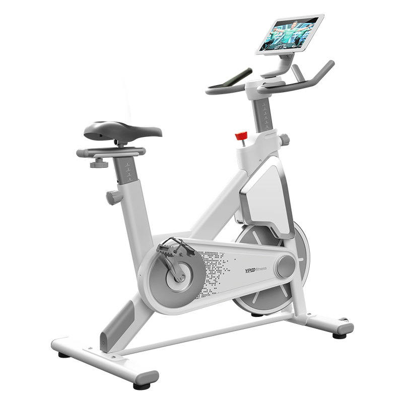 Fortis foldable magnetic hot sale flywheel exercise bike